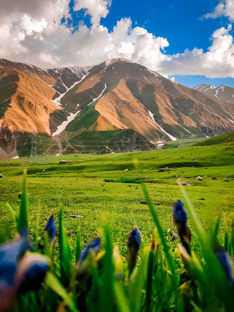 Photograph by Hannan Hamaad