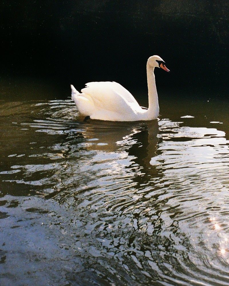 Photograph by Василий Селиванов