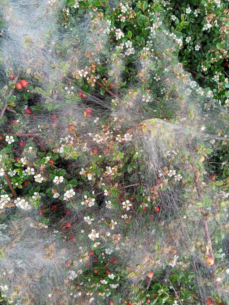 Photograph by Анастасия