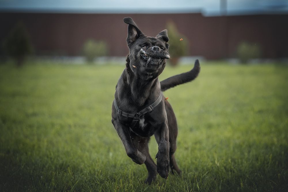 Photograph by Динара