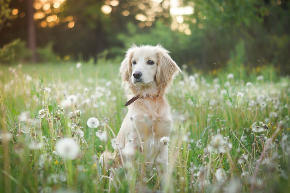 Photograph by Екатерина Булгакова