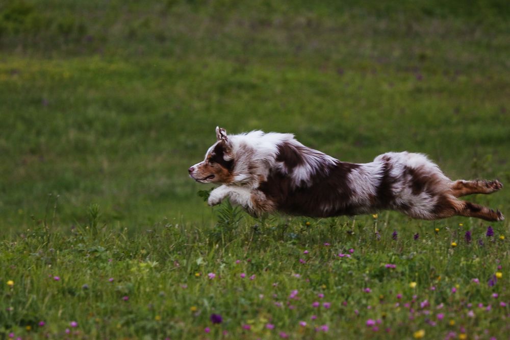 Photograph by Виктория Марьинских