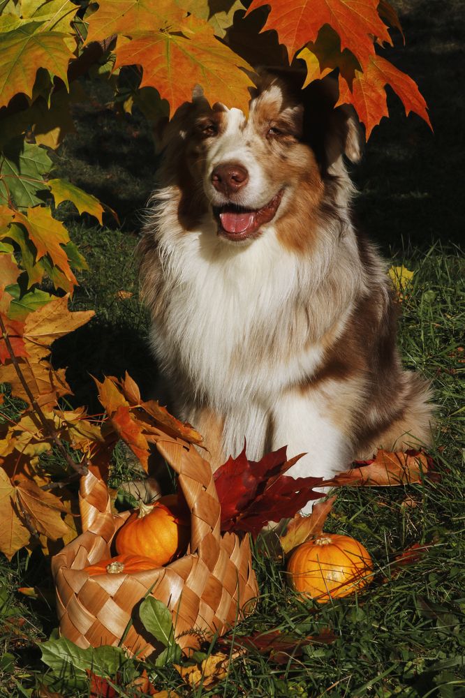 Photograph by Виктория Марьинских