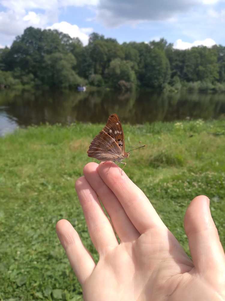 А, вот и модель для съёмки.