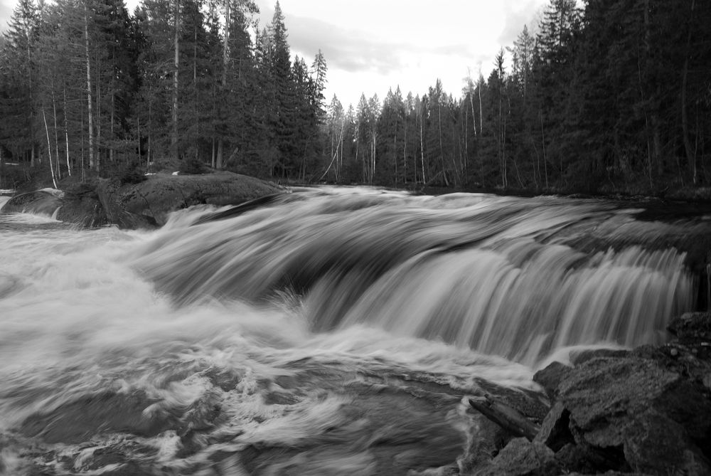 Фотография автора Yakovlev Artur