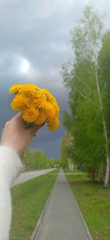 Photograph by Татьяна Гончарова