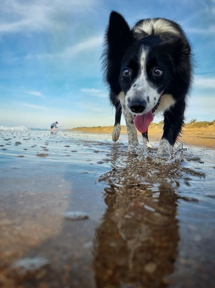 Photograph by Jason Walters