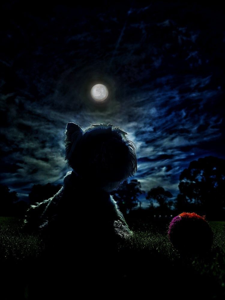 Photograph by Jason Walters