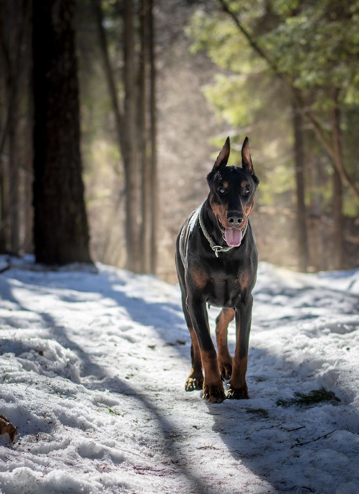 Photograph by Екатерина Лебедева