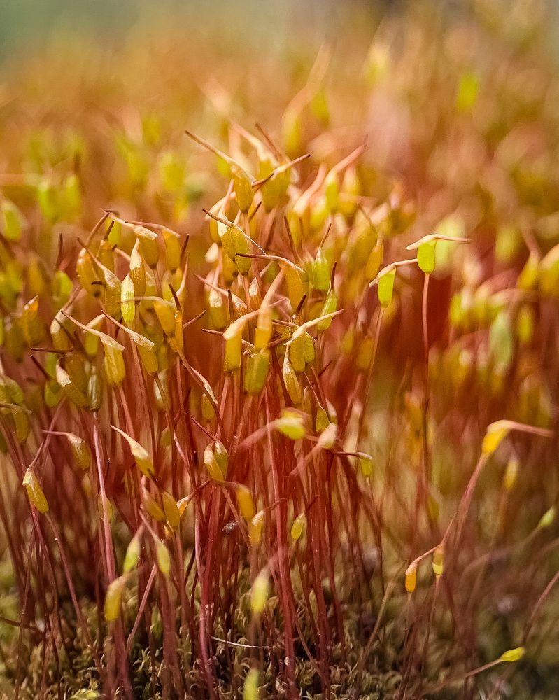 Photograph by Татьяна Гринько