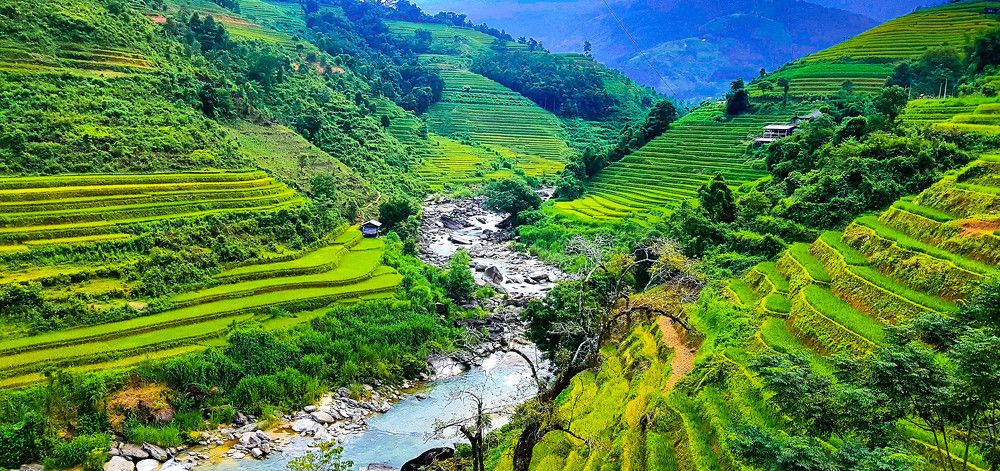 Photograph by Phuongs NguyenThanh