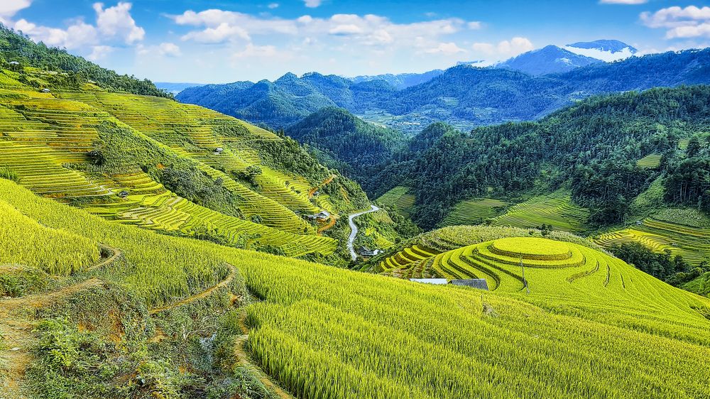 Photograph by Phuongs NguyenThanh