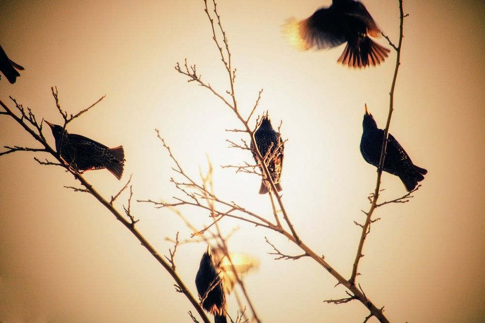 Photograph by Ioana Morosan