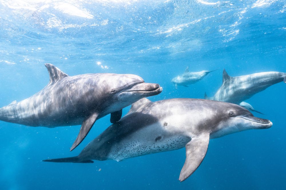 Photograph by 赤坂亜玖良