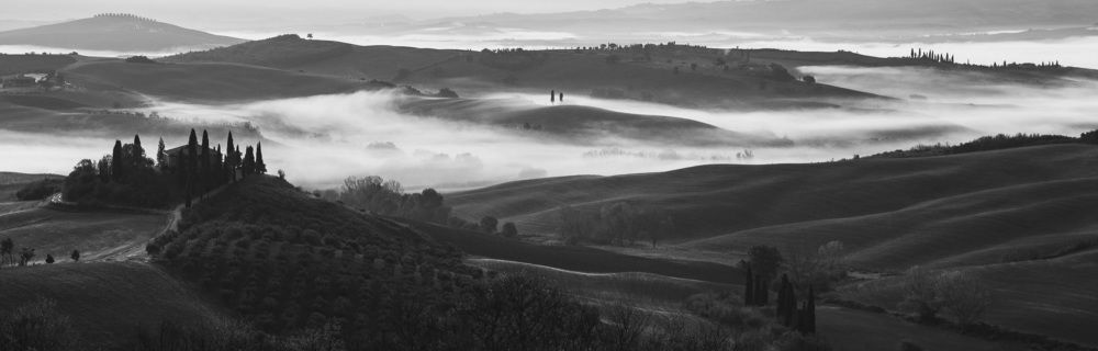 Photograph by Леонид Синев