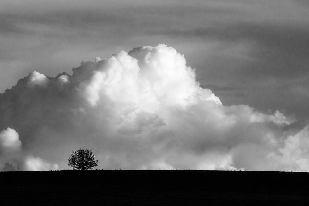 Photograph by Владислав Никишин