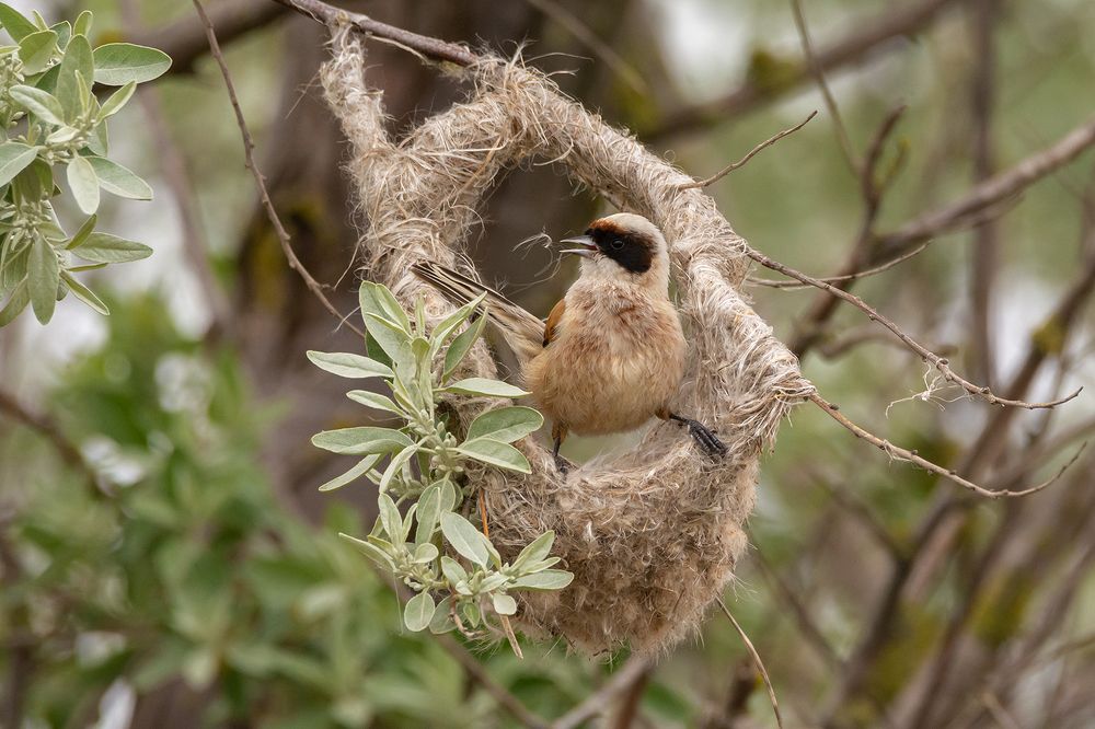 Photograph by Андрей Клыпин