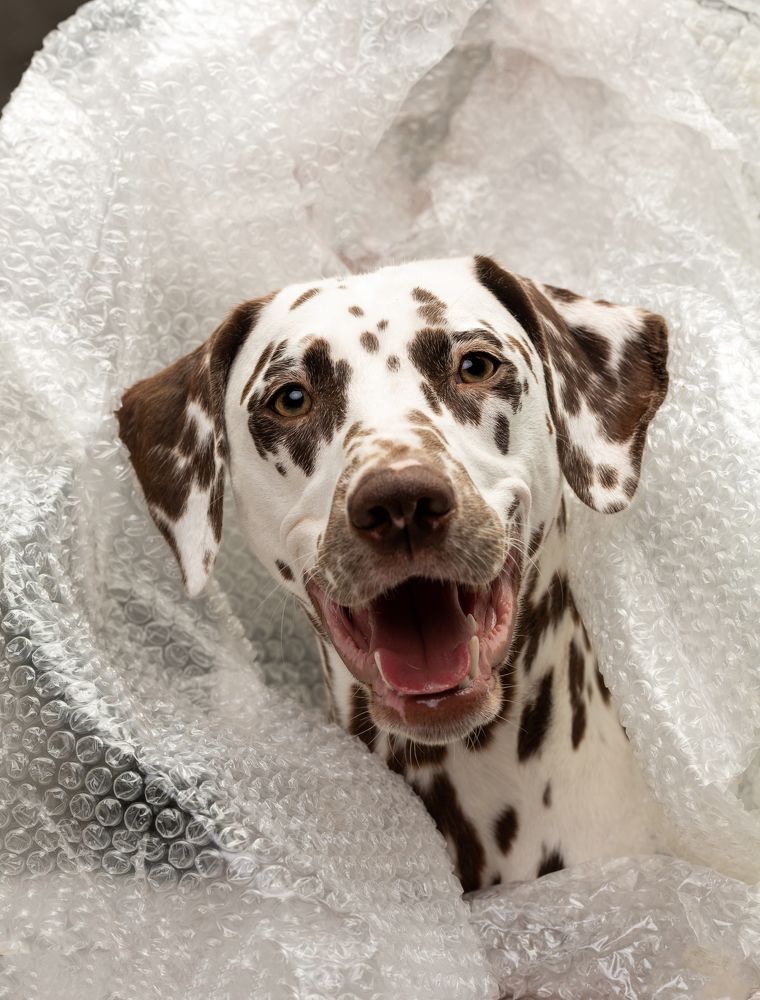 Photograph by Анна Мандрикян