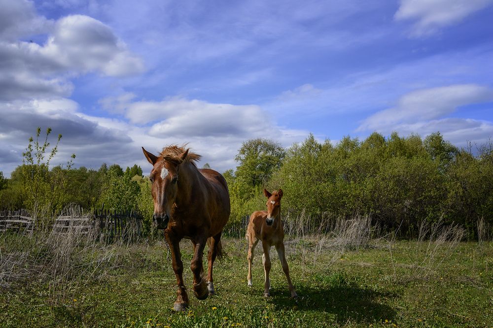 Photograph by Владислав Никишин