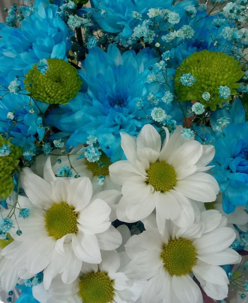 Счастье где-то рядом...