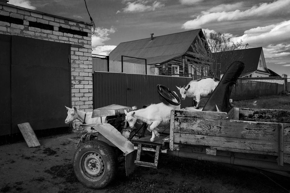 Photograph by Владислав Никишин