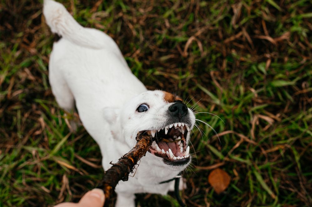 Photograph by Светлана Кузнецова