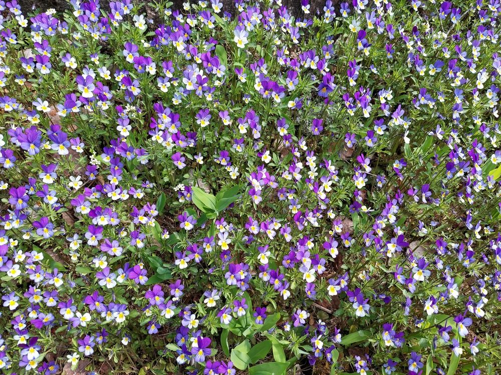 Photograph by Андрей Нурулин