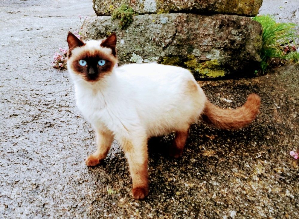 Photograph by Mónica Silva