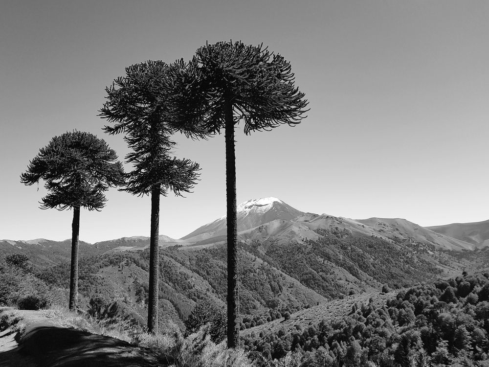 Photograph by Наталья Абилова