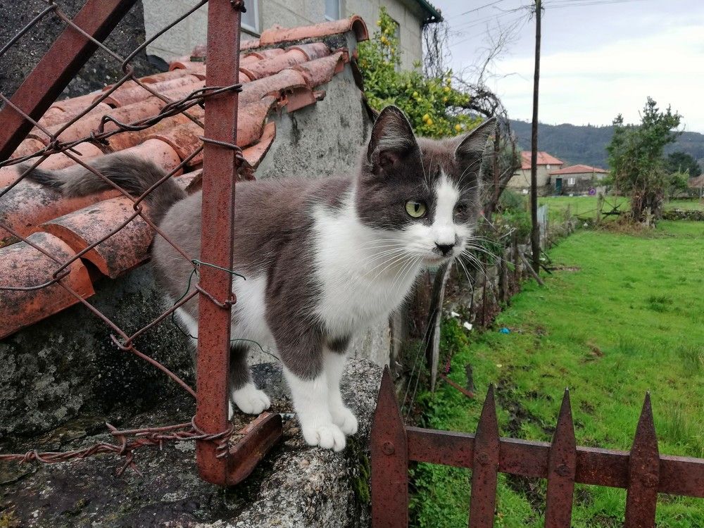 Photograph by Mónica Silva