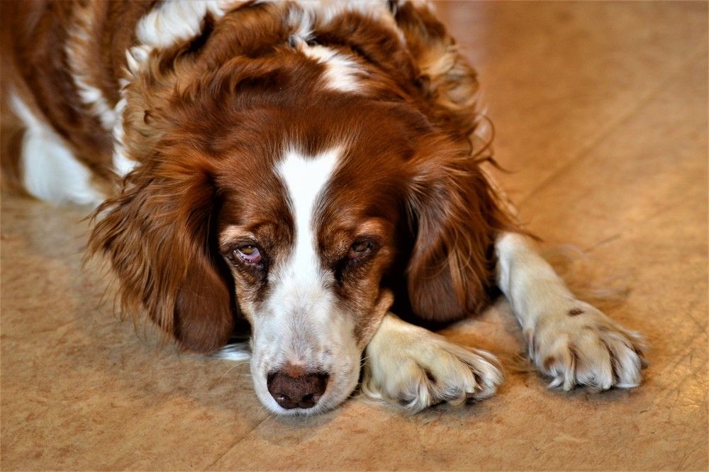 Photograph by Zdeňka Hudcová