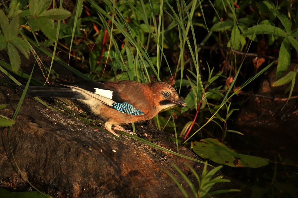 Photograph by Юлия Куликова