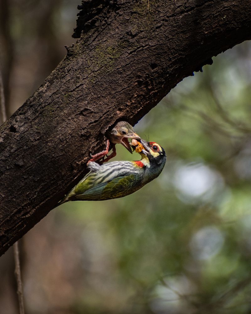 Photograph by Yash Nandurkar