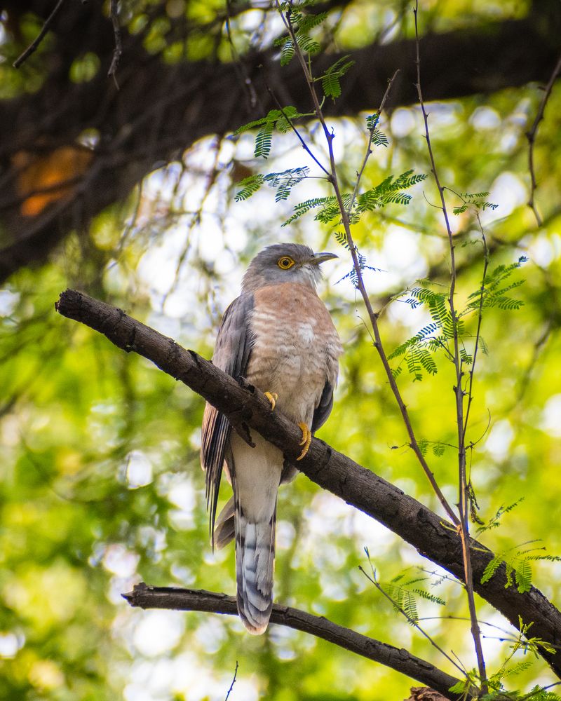 Photograph by Yash Nandurkar