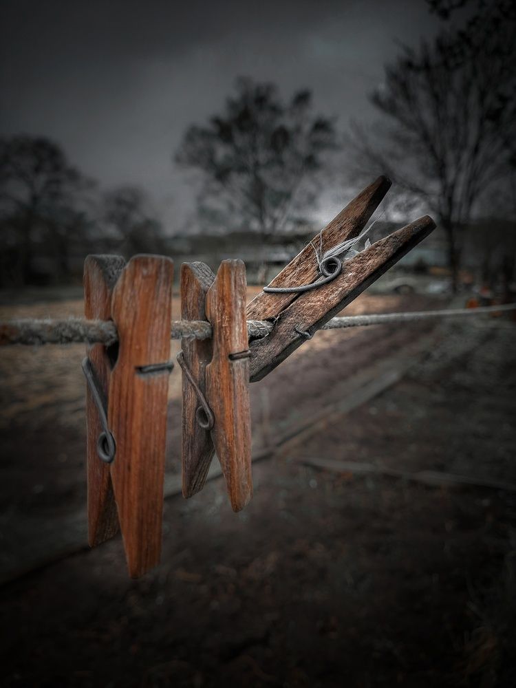 Photograph by Наталья