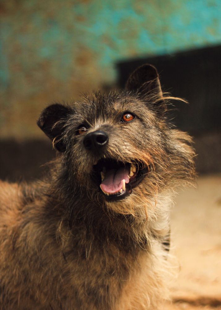 На пороге вечности