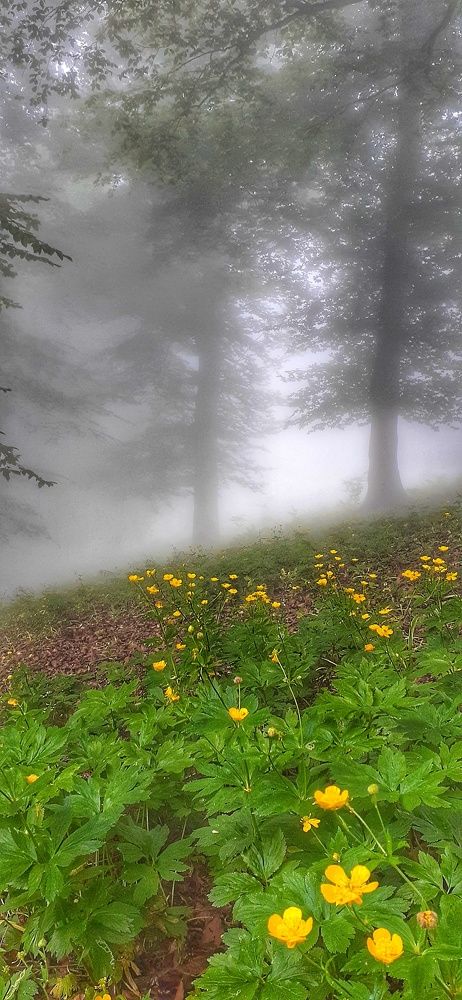 Photograph by leila ganji