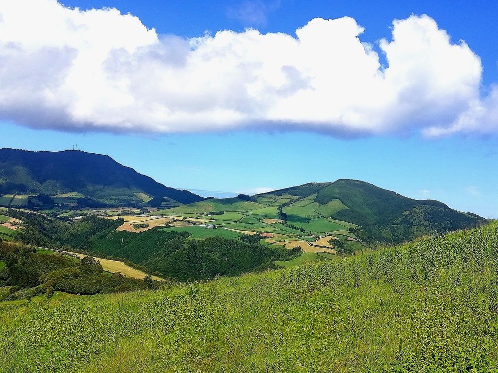 Photograph by Mónica Silva