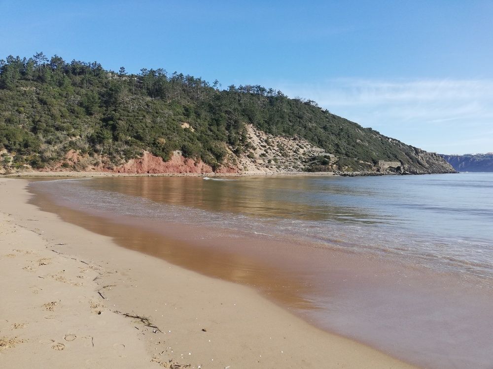 Photograph by Mónica Silva