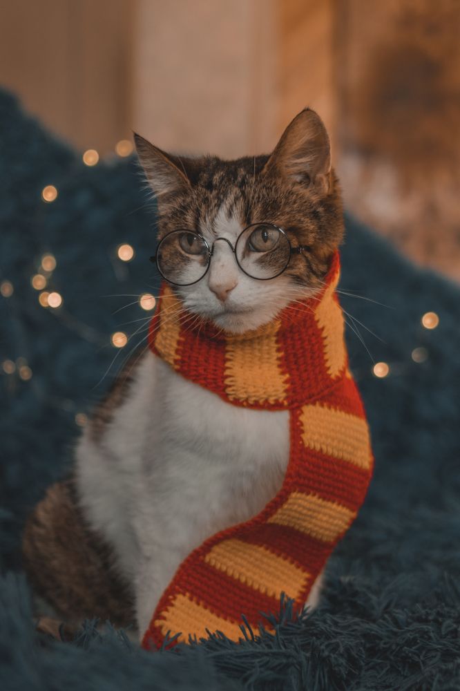 Экспекто патронум