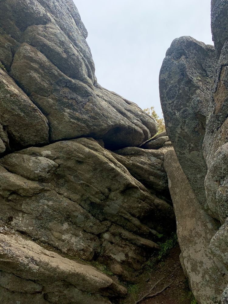 Photograph by Светлана Круглова