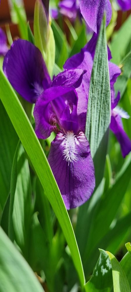 Photograph by Swetlana