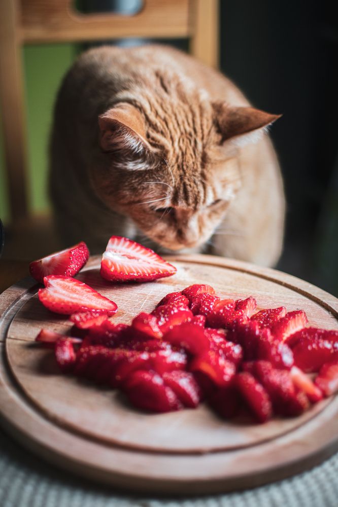 Photograph by Ксения Денисова