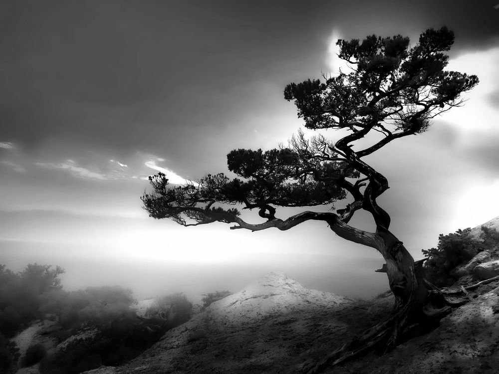 Одиночество