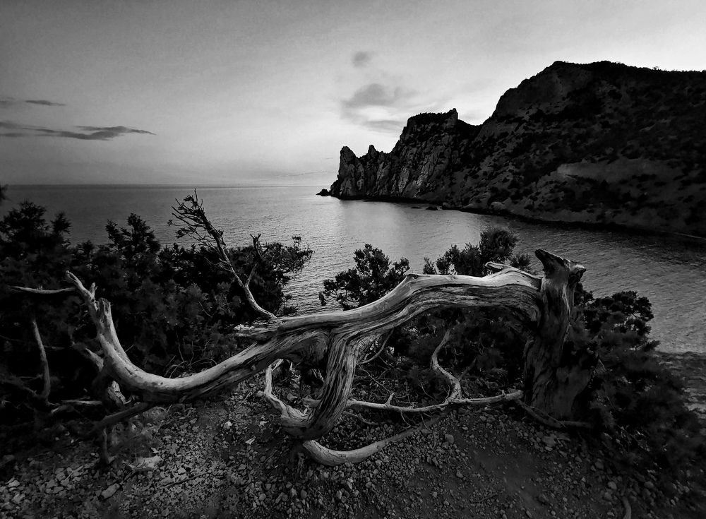 Характер Нового Света