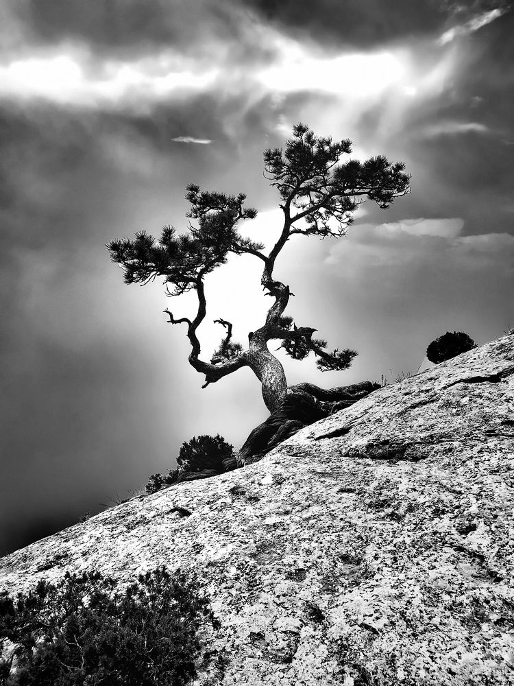 Одиночество и величие Нового Света