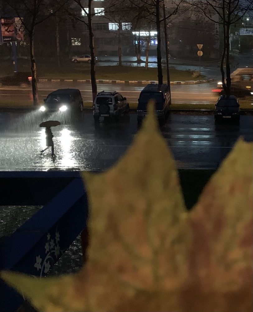 Photograph by Светлана Круглова