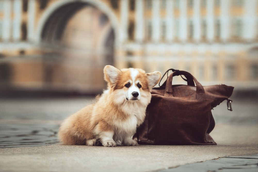 Фотография автора Ирина Мороз