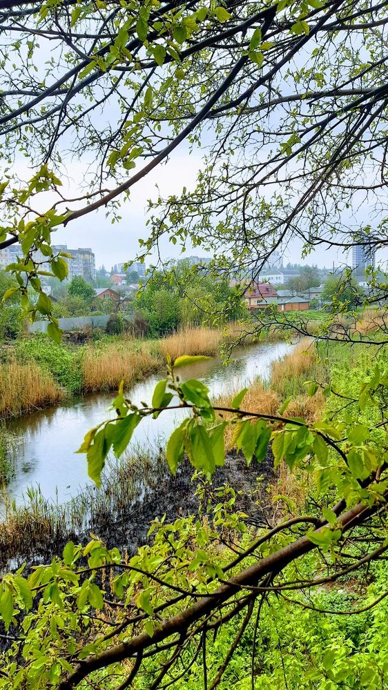 Photograph by Аліса Чарівна