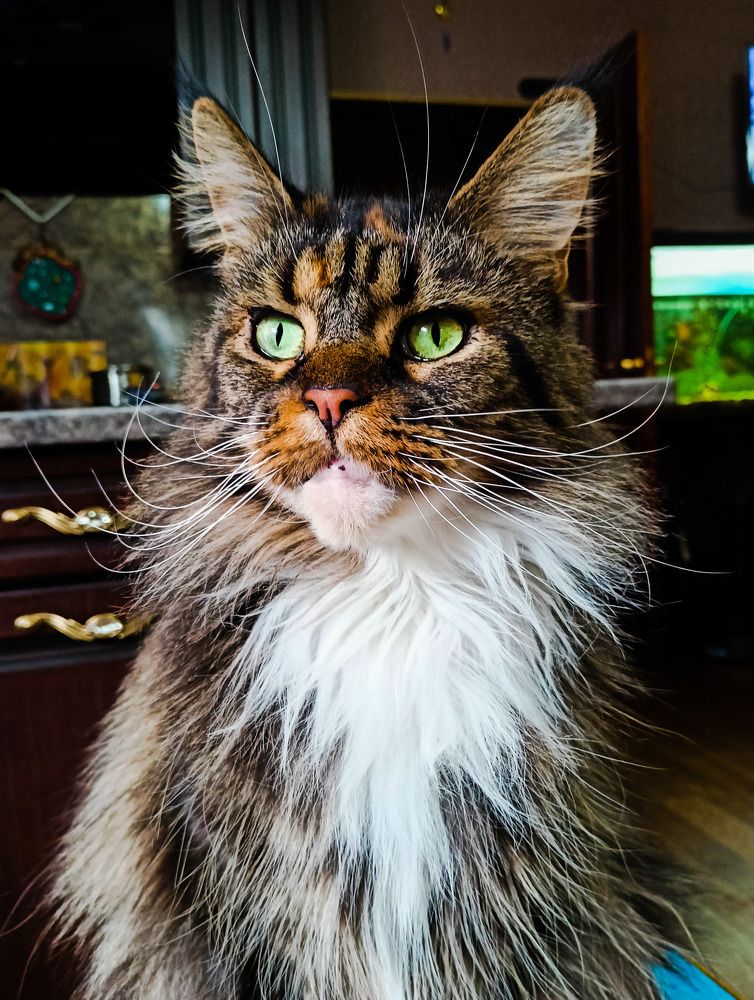 Photograph by Олег Башкуров